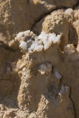 Salt pinnacle - Monegros Aragon Spain