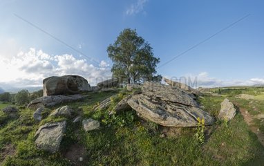 Remains of the dolmen 'Lo Pou' - Cerdanya Pyrenees France
