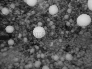 Myriads of white floating balls against a dark background