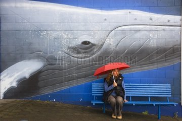 Woman sitting on bench below mural New Zealand