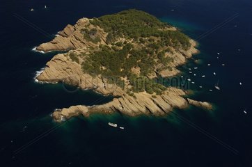 GrÃ¼ne Insel vor dem mediterranen Ciotat -Meer Frankreich