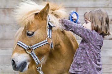 Girl brushes the mane of a pony France