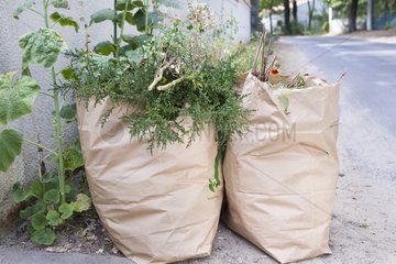 Paper bags for green waste Meschers in Gironde France