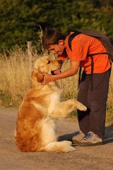 Enfant scolaire et chien golden retriever