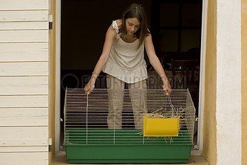 Fillette aménageant une cage à lapins France