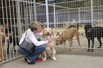 Woman coming to adopt a dog in the ASPCA of Plaisir France