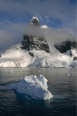 Frozen cliffs and iceberg in the Antarctic Peninsula