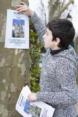 Boy hanging a poster to find his lost cat France