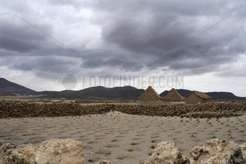 Truck farming Coipasa district Altiplano Bolivia