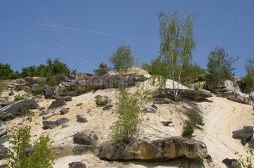 Sandpit to Darvault Massif de Fontainebleau France