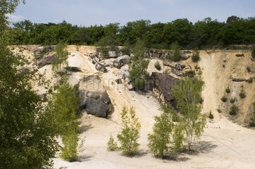 Sandpit to Darvault Massif de Fontainebleau France