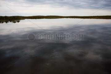 Lake at dusk in the boreal forest Lapland Finland