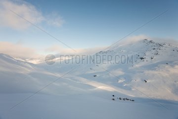 Winter camp on the island Ammassalik Greenland