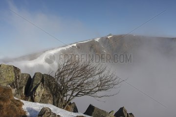 Nebel  der sich über das Hohneck -Massiv in Wintervosges erhebt