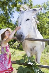 Girl caressing a donkey in his meadow Provence France