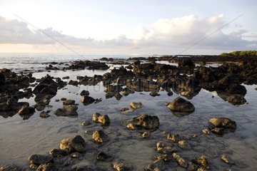 Lavablöcke am Strand Isabela Island Galapagos