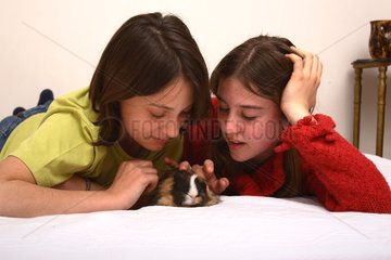 Young girls caressing a Guinea pig