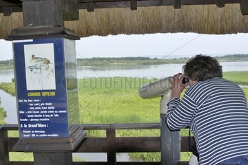 Observation of the birds of the grand' pond Vernier Swamp France