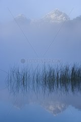 Kleiner See im frühen Morgen Nebel Nahuel Huapi Nationalpark