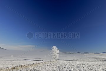 Landscape of snow-covered countryside of Haute-Loire France