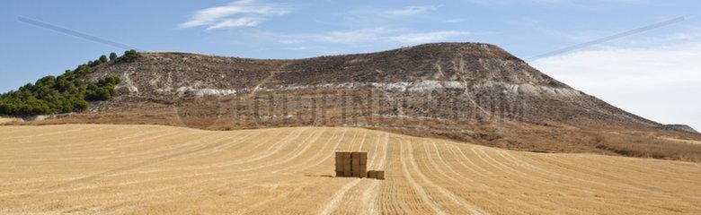 Wheel of hay in a field after harvest Spain