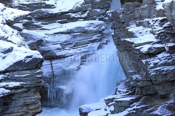 Athabaska Falls in the Jasper NP Canada