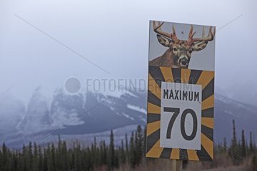 Sign indicating the passage of Wapiti Jasper NP Canada