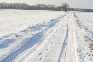 Path in the countryside under snow in winter