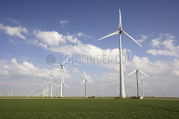 Wind farm in Eemshaven Netherlands