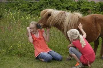 Girls playing with their pony Frisia Netherlands