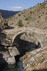 Bridge Asco Massif du Monte Cinto Corsica France