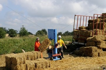 Cutting hay bales for wood-frame house France