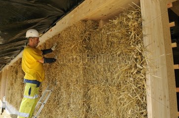 Installation of straw bales in a wood frame house France