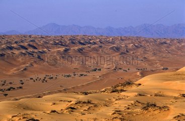 Dünenwüste von Wahiba Sultanat aus Oman