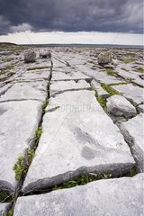 Karst plateau of the Burren in County Clare Ireland