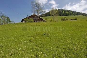 Comtoise farm in the middle of the meadows in may Doubs