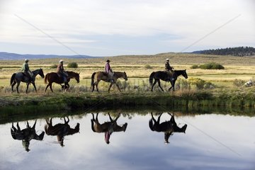 Cow-boys with horse going to the step and their reflection Oregon the USA