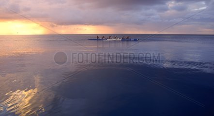 Unterbrechung auf der Lagune bei Sonnenuntergang Tuamotu Polynesia