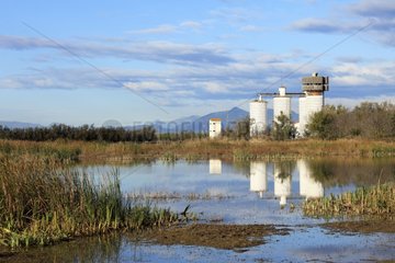Veterans silos rice processed observatories in Catalonia