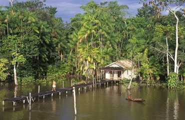 Housing on stilts and canoe on the Amazon Brazil