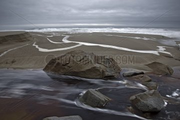 Beach of the West Coast and flooded river New Zealand