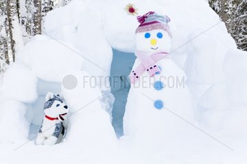 Stuffed snowman and an igloo
