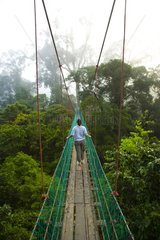 Canopy walkway Danum Valley Borneo Malaysia