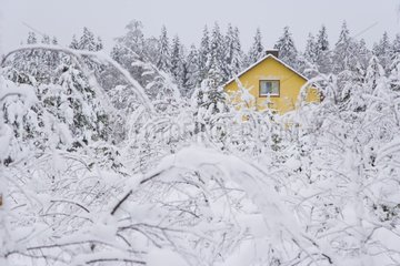 House in the taiga in winter Lapland Finland