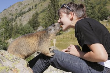 Alpine Marmot smelling the smell of taste of the girl France