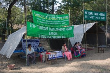 Stands of local Asociations World Elephant Polo Terai Nepal