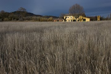 Natural grassland and mas in winter Provence France