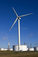 Windmills and tanks Netherlands