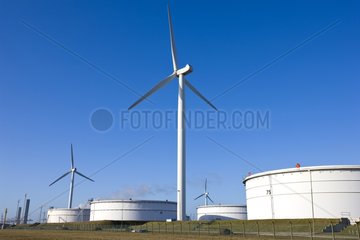 Windmills and tanks Netherlands