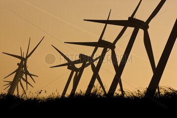 Windmills silhouettes Netherlands